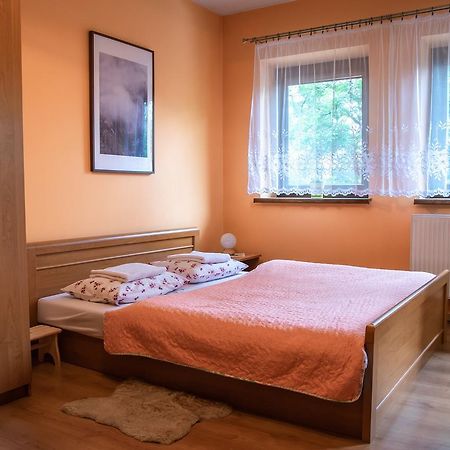 Apartament Domino - Krzeptowki 06 扎科帕内 外观 照片