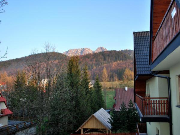 Apartament Domino - Krzeptowki 06 扎科帕内 外观 照片